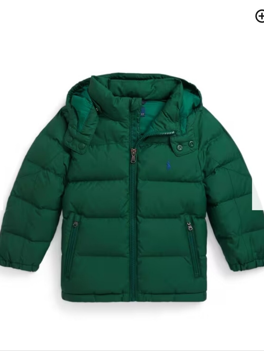 Polo Ralph Lauren Kids' Hooded Bomber Jacket, Kelly Green Sz 4 NWT